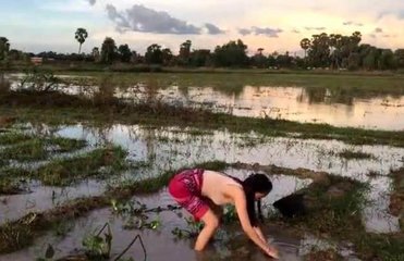 測(cè)畝寶